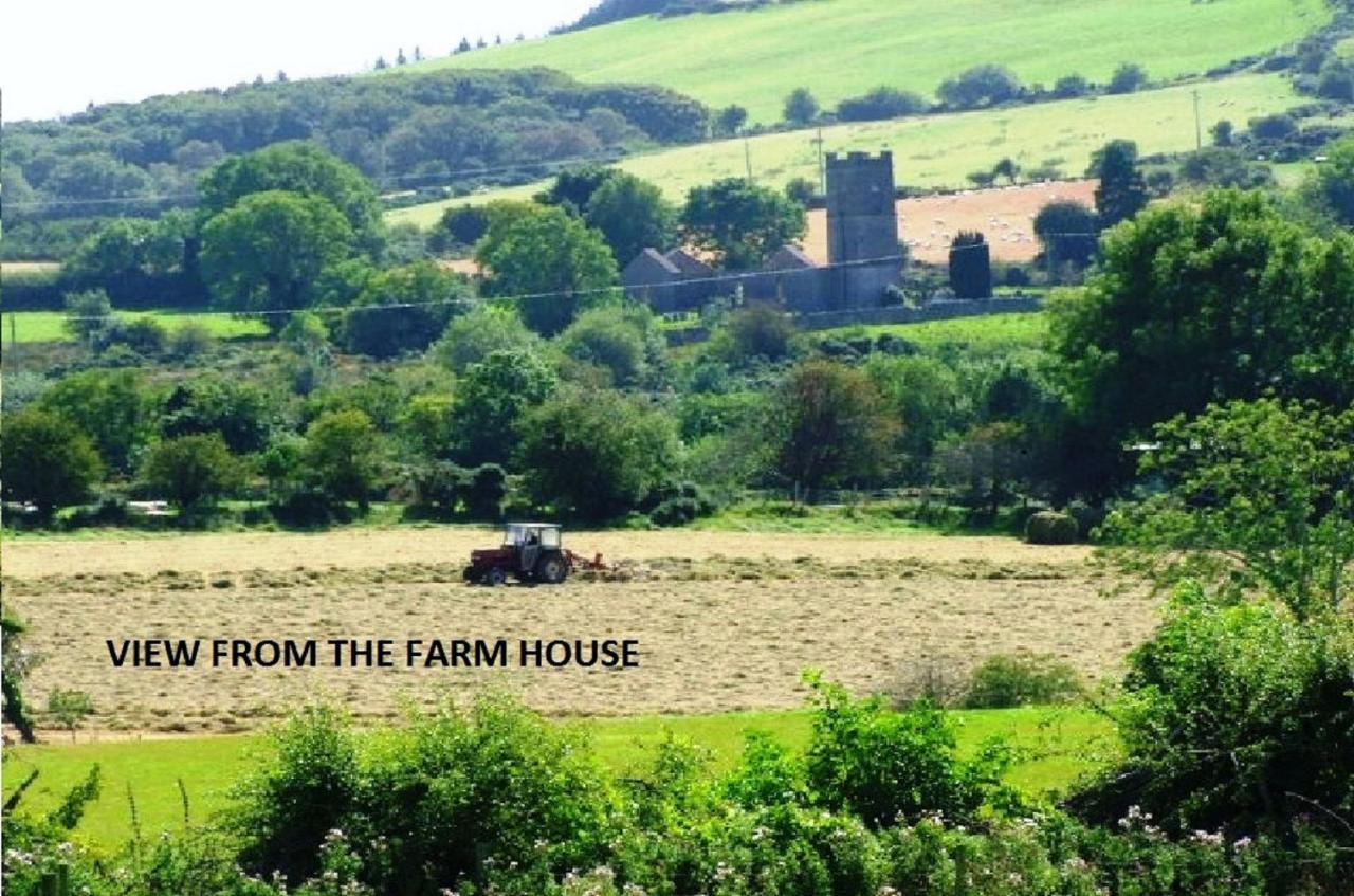 Glendalough Scenery Farmhouse Roundwood Zewnętrze zdjęcie